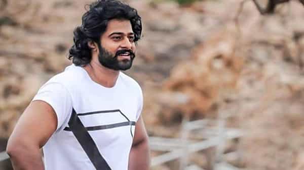 Prabhas: డాన్గా ప్రభాస్.. కొత్త సినిమా కాదు గురూ.. అసలు విషయం వీడియోలో చూసేయ్యండి..