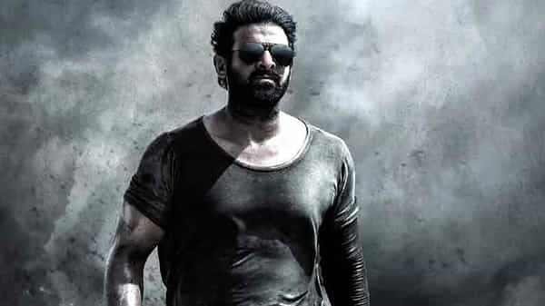 Salaar Movie: భారీ ఫ్లాష్బ్యాక్ ఎపిసోడ్ కోసం బాలీవుడ్ తారలను దింపనున్నారట..