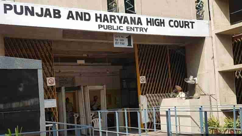 Punjab Haryana High Court: సహ జీవనంపై సంచలన తీర్పు ఇచ్చిన హైకోర్టు.. వారికి ఆ హక్కు ఉందంటూ స్పష్టం చేసిన ధర్మాసనం..