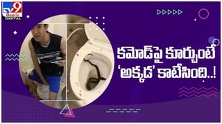 Viral Video: జురాసిక్‌ పార్క్‌ మళ్ళీ మొదలైంది అనిపించేలా చేసిన ఉడుములు…!!