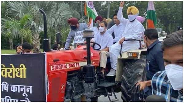 Rahul Gandhi: ట్రాక్టర్ తోలిన రాహుల్ గాంధీ.. రైతు చట్టాలను రద్దు చేయాలని వినూత్న నిరసన..