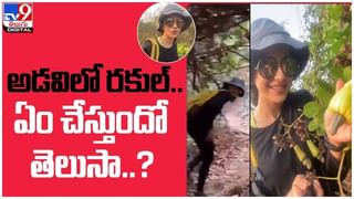 Allu Sneha: స్టార్‌ హీరోతో పోటీపడుతోన్న సతీమణీ..!! సోషల్‌ మీడియాలో రికార్డులు బ్రేక్‌..!! ( వీడియో )