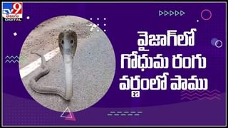 AP Weather Report: ఉపరితల ద్రోణి ఎఫెక్ట్.. ఆంధ్రప్రదేశ్‌కు వర్ష సూచన.. కీలక ప్రకనటన చేసిన అధికారులు..