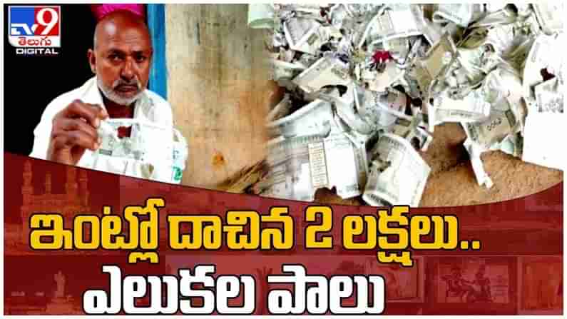 Viral Video: ఇంట్లో దాచిన 2 లక్షలు.. అన్యాయంగా ఎలుకల పాలు..!! వీడియో