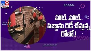 ఈ శునకం వెరీ స్పెషల్‌.. తికుండగానే కాంస్య విగ్రహం ఏర్పాటు…!! ఎక్కడంటే..?? ( వీడియో )