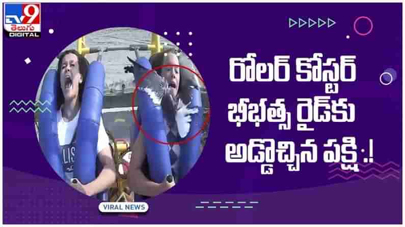 Viral Video: రోలర్‌ కోస్టర్‌ భీభత్స రైడ్‌కు అడ్డొచ్చిన పక్షి .! నెట్టింట వీడియో వైరల్