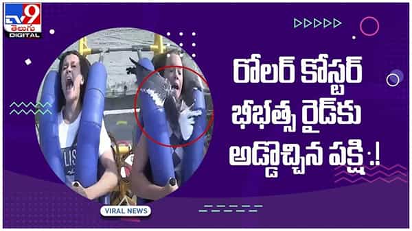 Viral Video: రోలర్ కోస్టర్ భీభత్స రైడ్కు అడ్డొచ్చిన పక్షి .! నెట్టింట వీడియో వైరల్