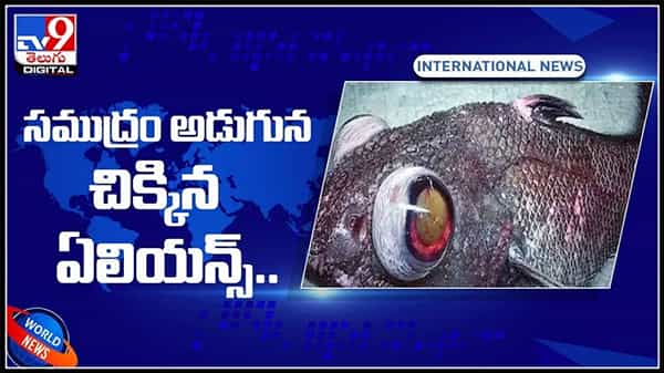 సముద్రం అడుగున చిక్కిన ఏలియన్స్ ..!రష్యా చేపల వేటలో వింత చేప..ఏలియన్ రూపంలో..:Alien In Sea video.