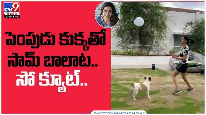 Samantha Akkineni: పెంపుడు కుక్కతో సామ్ బాలాట... సోషల్ మీడియా లో వీడియో వైరల్...