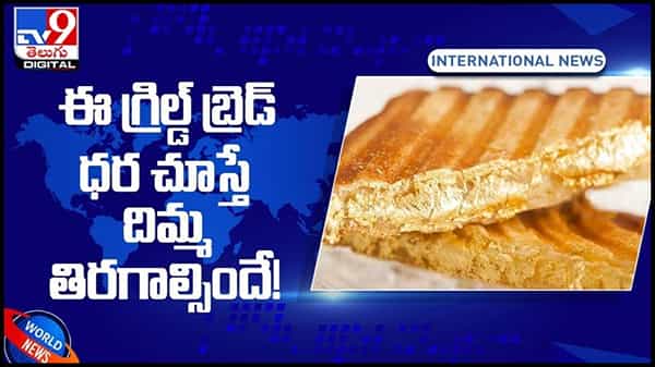 దిమ్మ తిరిగే రేటులో గ్రిల్డ్ ఛీజ్ బ్రెడ్ శాండ్విచ్..!! ధర ఎంతో తెలిస్తే షాక్ అవ్వాల్సిందే..!! వీడియో