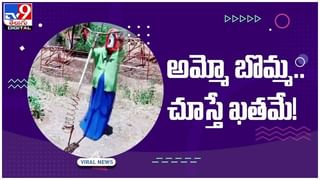 నిర్మల్‌ జిల్లాలో గుప్తనిధుల కలకలం… కష్టపడి వేసిన ప్లాన్ ప్లాప్… చివరికి ఏమైందంటే… వీడియో