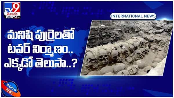 Skull Wall: మనిషి పుర్రెలతో టవర్‌ నిర్మాణం.. ఇప్పటి వరకు బయటపడిన 600 పుర్రెలు.. ఎక్కడో తెలుసా..?? వీడియో