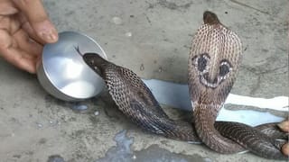 Chanakya Niti: ఈ నాలుగు లక్షణాలు ఉన్నవారి వద్ద లక్ష్మీదేవి శాశ్వతంగా ఉండిపోతుంది..శత్రువులు ఉండరు 