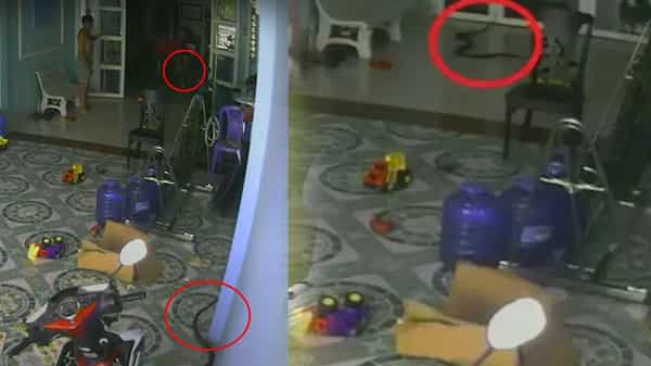Viral Video: చిన్నారిపై పగబట్టిన పాము.? జెట్ స్పీడ్తో దూసుకొచ్చి.. వీడియో చూస్తే షాక్ అవ్వాల్సిందే.!