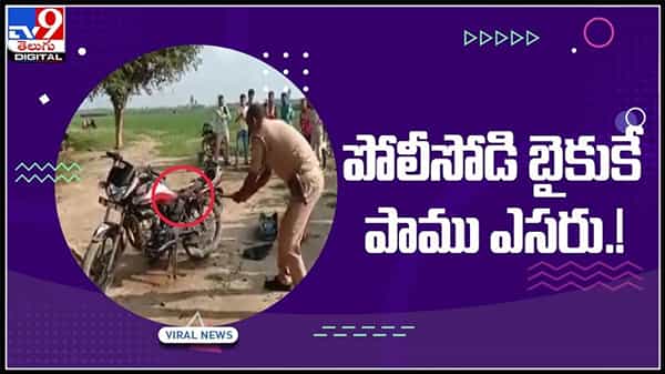 పోలీసోడి బైకుకే పాము ఎసరు !చూసుకోకుండా బైక్ డ్రైవ్ చేసిన పోలీస్..ఎం జరిగిందో తెలుసా..?:Snake in police bike Video.
