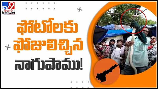 వరల్డ్ స్నేక్ డే రోజు.. ఫోటోలకు ఫోజులిచ్చిన నాగుపాము!:Snake In Tirumala Viral Video.