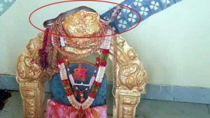 Khammam District: దేవత విగ్రహంపై పడగ విప్పిన ఆడిన నాగు పాము.. గంట పాటు పూజలు చేసినా...