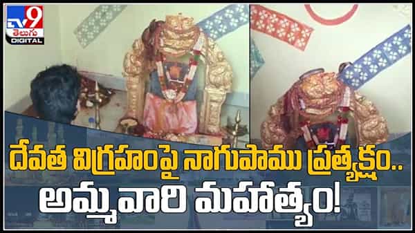 ఖమ్మం ఆలయంలో దేవత విగ్రహం పై నాగుపాము ప్రత్యక్షం..అమ్మవారి మహత్యం..!వైరల్ వీడియో :snake on the idol of god video.