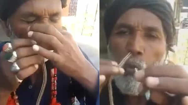 Viral Video: పాము పిల్లను ముక్కులోకి దూర్చుకుని.. నోట్లో నుంచి.. షాకింగ్ వీడియో వైరల్