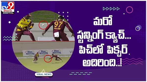 Fabian Allen: మరో స్టన్నింగ్ క్యాచ్..!! పిచ్లో పిచ్చర్ అదిరింది..!! వీడియో వైరల్...