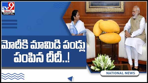 మోదీకి మామిడి పండ్లు పంపించిన దీదీ..! తన సంప్రదాయం పై ప్రశంసలు అందుకున్న మమతా బెనర్జీ :Mamata Banerjee Video.