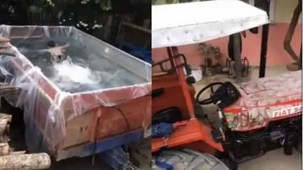 Viral Video: ఇలాంటి ఐడియాలు ఎలా వస్తాయిరా బాబూ..? ట్రక్కులో స్విమ్మింగ్.. నెటిజన్లు షాక్