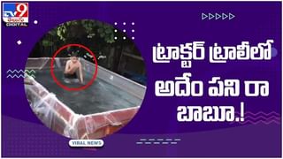 Viral Video: ట్రస్ట్‌ గేమ్‌లోయువతికి యువకుడు షాక్‌..!! నెట్టింట వీడియో వైరల్..