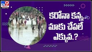 Viral Video: దర్జాగా రోడ్డుపై సింహాల నైట్ వాక్.. దడుసుకున్న స్థానికులు.. వీడియో వైరల్.!