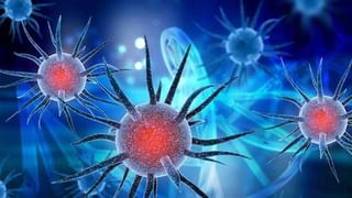 AP Corona Cases: ఏపీలో కొత్తగా 3,464 కరోనా కేసులు, యాక్టివ్ కేసులు, మరణాల సంఖ్య ఇలా