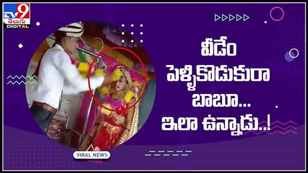 వీడెం పెళ్లికొడకురా బాబు..ఇలా ఉన్నాడు..!పెళ్లి వేడుక లోనే ఆగ్రహం చూపించాడు..షాక్ లో నెటిజన్లు..:Groom And Bride Video.