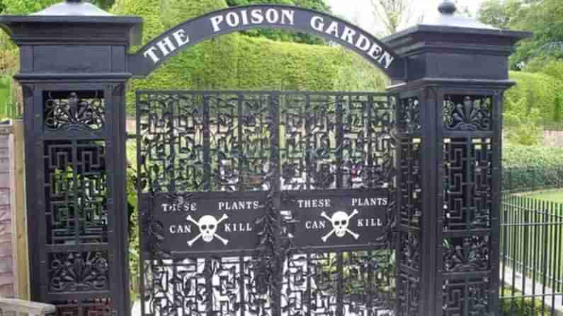 The Poison Garden: మనుషులను చంపే మొక్కలను చూశారా..? తాకితే ఇక అంతే..!