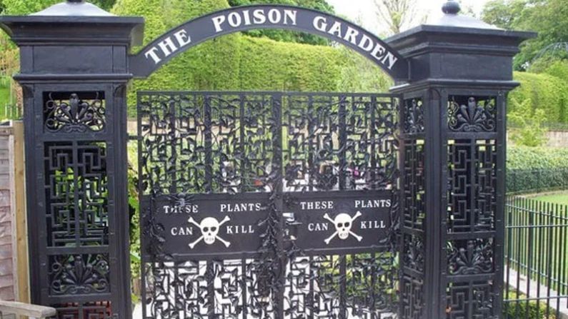 The Poison Garden: మనుషులను చంపే మొక్కలను చూశారా..? తాకితే ఇక అంతే..!