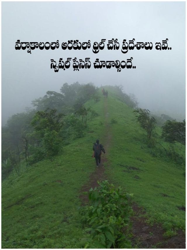 వర్షాకాలంలో అరకులో థ్రిల్ చేసే ప్రదేశాలు ఇవే.. స్పెషల్ ప్లేసెస్ చూడాల్సిందే..