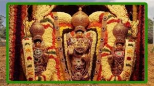 Tirumala Flower Garden: పూలతోటలతో పరిమళ మయం.. తిరుమల కొండలపై పుష్పాల ఉద్యానవనాలు.. చిత్రాలు