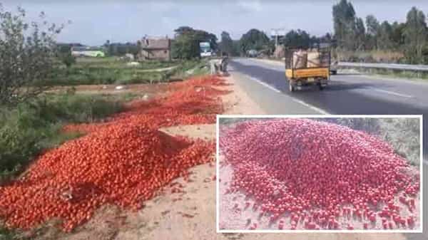 Tomato Price: టమాటా రేటు మళ్లీ ఢమాల్.. గిట్టుబాటు ధర లేక రోడ్డుపై పారబోసి రైతులు