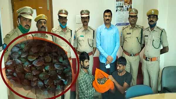 Tortoise Rocket: తాబేళ్లు దగ్గరుంటే అదృష్టం వరిస్తుందా..? స్మగ్లింగ్ ముఠా గుట్టురట్టుతో వెలుగులోకి వస్తున్న నిజాలు..!