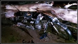 Thief halchal: తెలుగురాష్ట్రాల్లో పశువుల దొంగల హల్‌చల్‌.. నిషారాత్రిలో హుషారుగా చోరీలు..