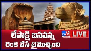 Viral Video: నీటిలో హీట్ వేవ్స్.. మృత్యువాత పడుతున్న చేపలు.. వీడియో చూస్తే షాక్ అవుతారు..