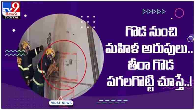 Viral Video: గోడ నుంచి మహిళ అరుపులు.. తీరా చూసి ఖంగుతిన్న అధికారులు..!! వీడియో