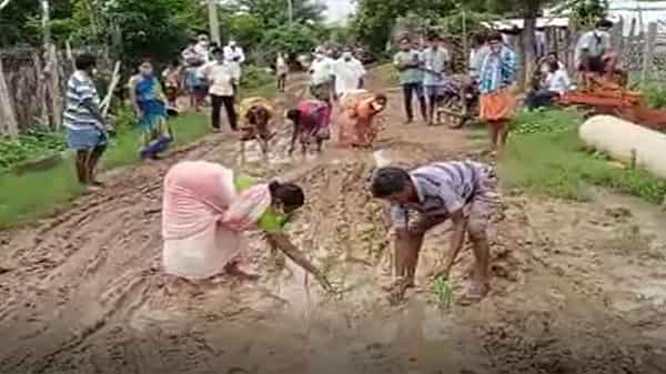 Villagers Variety Protest: కొద్దిపాటి వర్షానికే చిత్తడిగా రహదారులు.. రోడ్డుపై నాట్లు వేసి గ్రామస్తుల వినూత్న నిరసన
