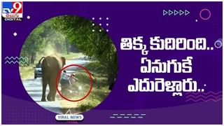 Viral Video: పెళ్లి మండపంలోనే డ్యాన్స్‌తో అదరగొట్టిన నూతన వధువరులు.. వీడియో