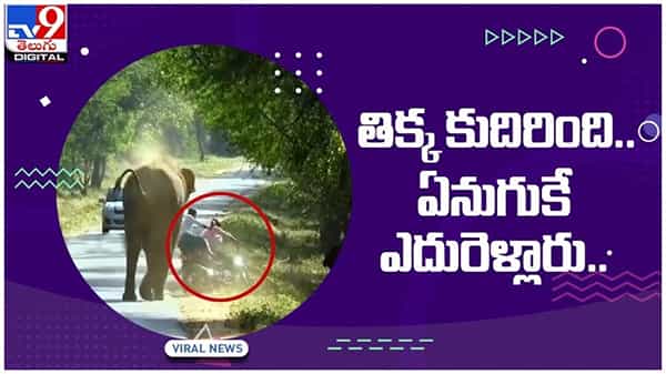Viral Video: తిక్క కుదిరింది.. బైక్పై వెళ్తున్న ఇద్దరు యువకుల్ని బెదిరించిన గజరాజు.. వీడియో