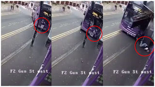 Viral Pic: జింకల మందపై ఎటాక్ చేసిన పెద్దపులి.. ఈ ఫోటోలో అదెక్కడ ఉందో కనిపెట్టండి బాసూ.!