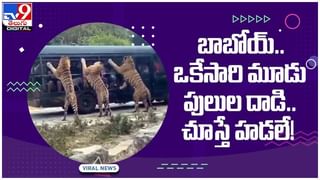 Viral Video: ఘోరమైన యాక్సిడెంట్ నుంచి తప్పించుకున్న బాలుడు.. వీడియోతో పోలీసుల అవగాహన