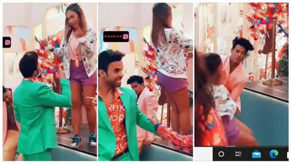 Viral Video: ట్రస్ట్ గేమ్లో షాకిచ్చిన లవర్.. సెకన్లలో మారే సంబంధాలంటూ నెటిజన్ల కామెంట్లు..! వైరలవుతోన్న వీడియో