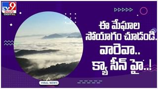 Viral Video: కోళ్ల వెంటబడ్డ పాము.. గోరింక మెరుపు దాడి.. వీడియో చూస్తే షాక్ అవ్వాల్సిందే.!