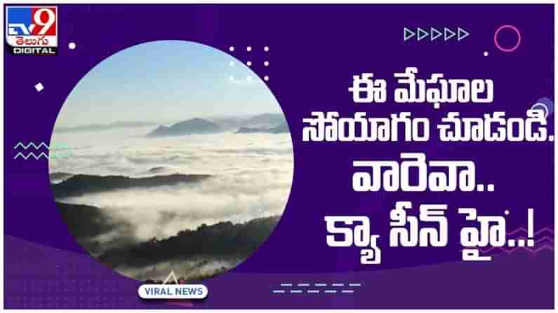 Visakha Agency: కొండలపై మేఘాల ముసుగు.. ప్రకృతి సోయగాలతో పులకిస్తున్న విశాఖ మన్యం.. ( వీడియో )