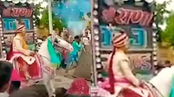 Viral Video: అప్పటివరకు ఆ గుర్రం బానే ఉంది.. మతాబులు పేల్చగానే చిర్రెత్తిపోయింది.. ఆపై వరుడికి చుక్కలు