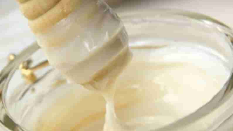 White Honey Benifits: యాంటీ ఆక్సిడెంట్స్‌లకు కేరాఫ్ అడ్రస్ వైట్ హనీ.. ఉపయోగాలు తెలిస్తే అస్సలు వదిలిపెట్టరు..!