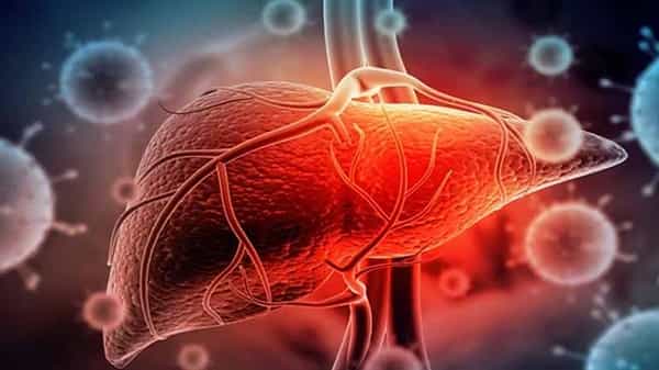 World Hepatitis Day: హెపటైటీస్ యమడేంజర్.. ఆందోళన కలిగిస్తున్న వ్యాధి.. నేడు ప్రపంచ కాలేయ వ్యాధి దినోత్సవం